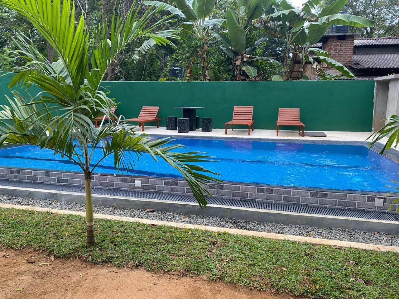 Habarana New Star Homestay מראה חיצוני תמונה